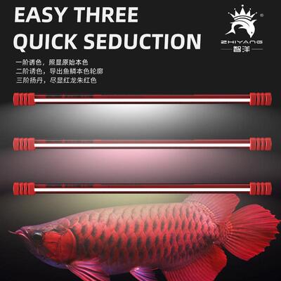 鱼缸T5龙鱼灯 水族发色潜水灯 6700K三基色黄白红 15000K发色T5灯