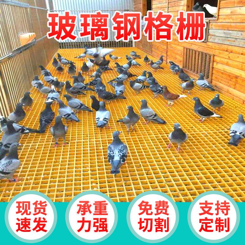 电镀厂玻璃钢格栅 洗车房场地公棚格栅板 市政工程泳池建筑网格板