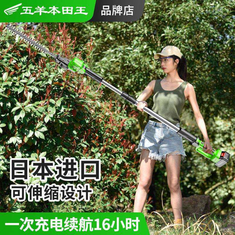 2020进口调电动机长杆高枝速绿篱弧机形园林绿化苗木修剪修枝机伸
