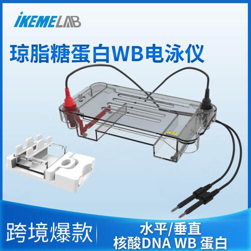 水平垂直电泳仪蛋白质WB琼脂糖核酸DNARNA凝胶转印膜跑胶电泳槽