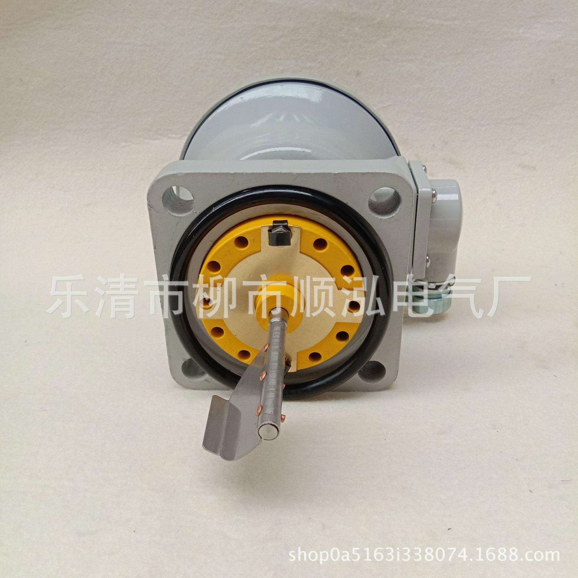 油流继电器YJ1-100 变压器油泵油流继电器 YJ1-150 油流继电器