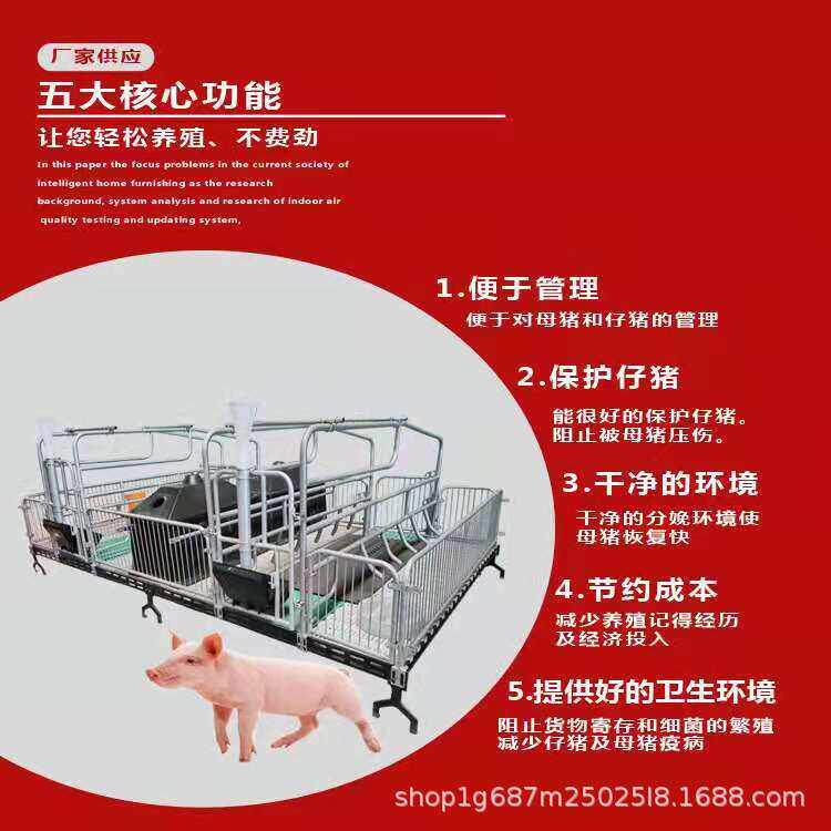 复合双体母猪产床 加厚镀锌钢管保育床 分娩产保两用一体母猪产床