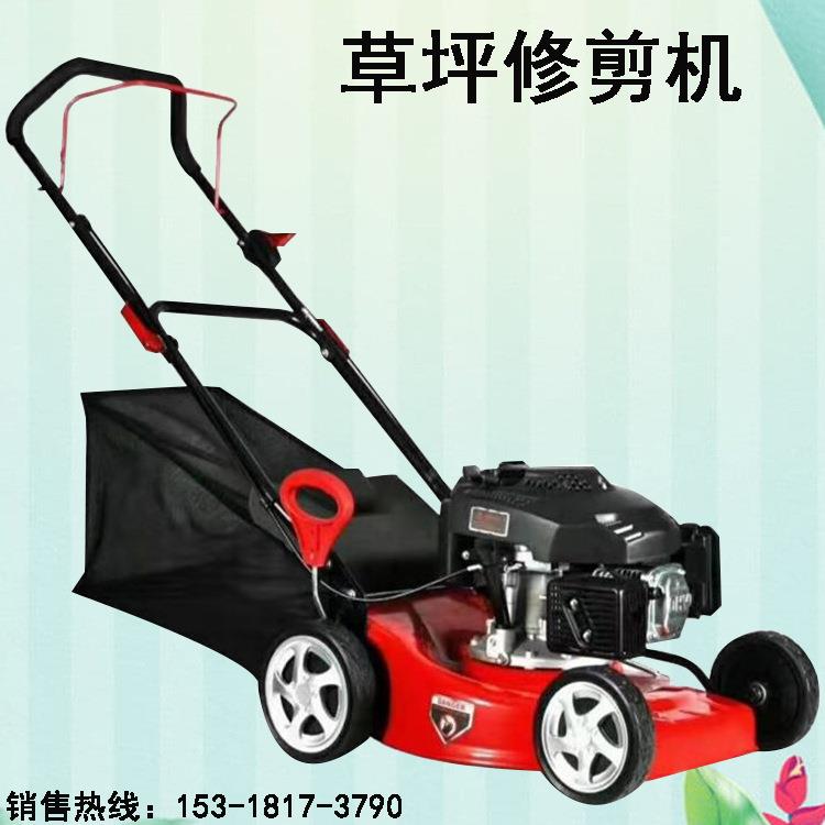 四冲程自走式草坪修剪割草机 21寸GXV160发动机手推式草坪机 现货
