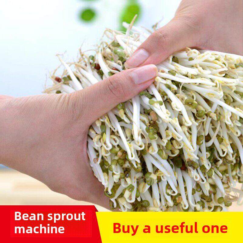 全自动豆芽机家用发芽盆栽培器陶瓷豆芽罐无紫砂、无红、无苦