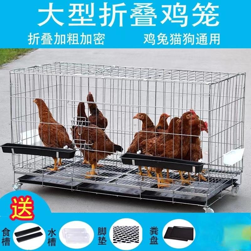 鸡笼子家用室外家庭多用鸡笼防黄鼠狼农村鸡窝下蛋窝鸭搭建户外