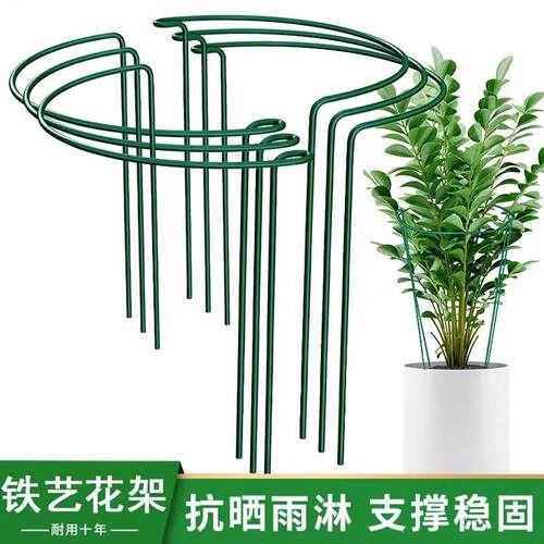 铁艺花支撑架护叶架金钱树支撑杆花卉爬藤植物防倒伏半圆固定架子