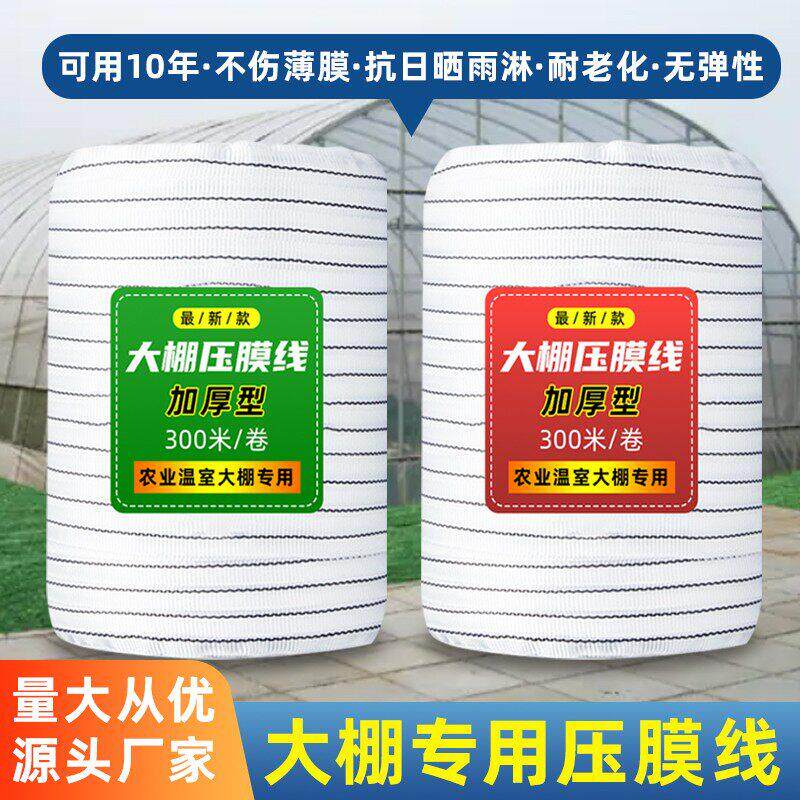 温室大棚配件专用绳子防风带纶丝高强度白色大棚绷带压膜线 线压