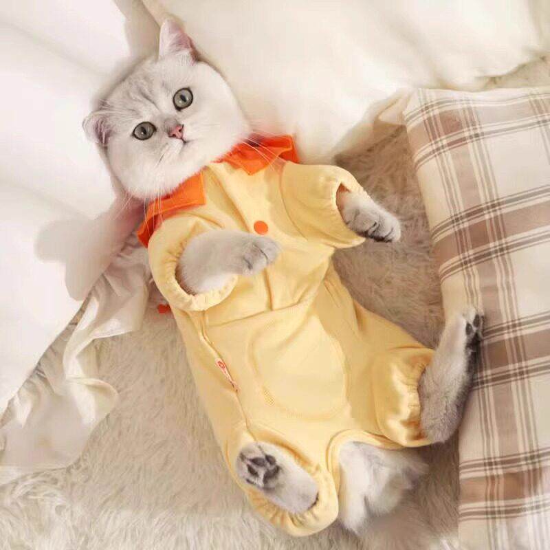 猫咪衣服春秋款防掉毛睡衣宠物护肚衣小猫全包衣服冬季母猫绝育服