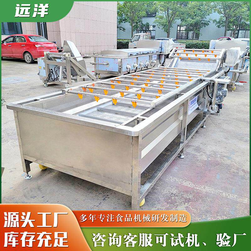 酸豆角加工清洗流水线 不锈钢笋丝莴苣清洗机 蔬菜气泡清洗设备