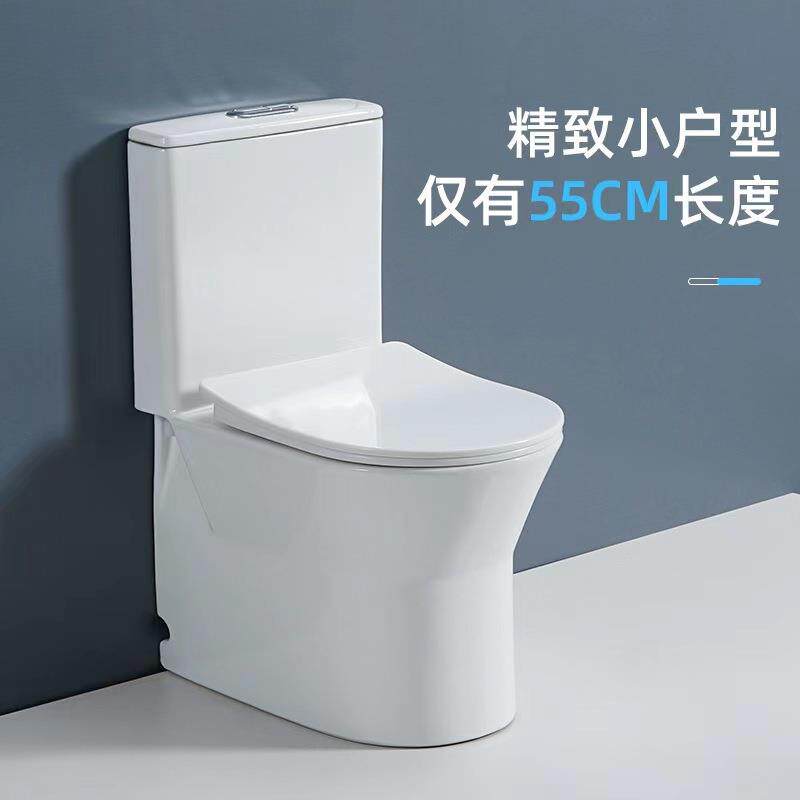 小尺寸小户型迷你马桶 短款座便器 家用小号省空间带水箱坐便器