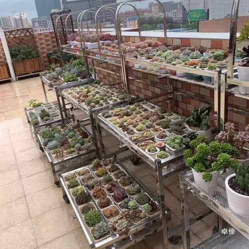 钢阳台户外院庭花架多肉带雨棚花架锈多层可移动带688轮花架不子