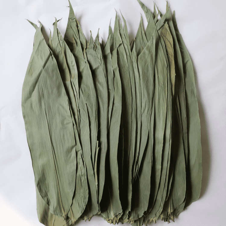 粽新鲜叶批发叶苇叶产地粑粑叶箬叶麻竹子叶粽干货货源现货