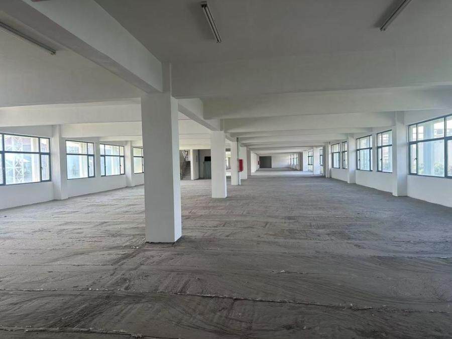 3月18日泰州缝制公司工业房地产、构筑物及辅助设施、办公用品及机械设备等网络拍卖公告