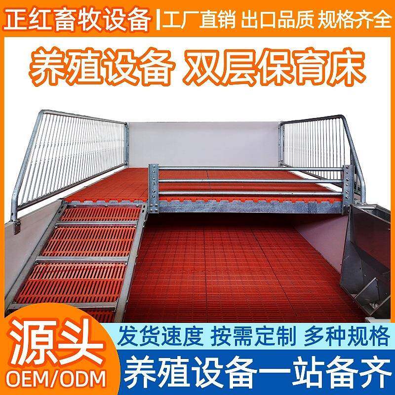 畜牧设备PVC双层保育床畜牧养猪场养殖场小猪仔猪二层保育床