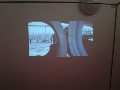 调查心得微麦m100微型投影仪怎么样，真实使用心得曝光？