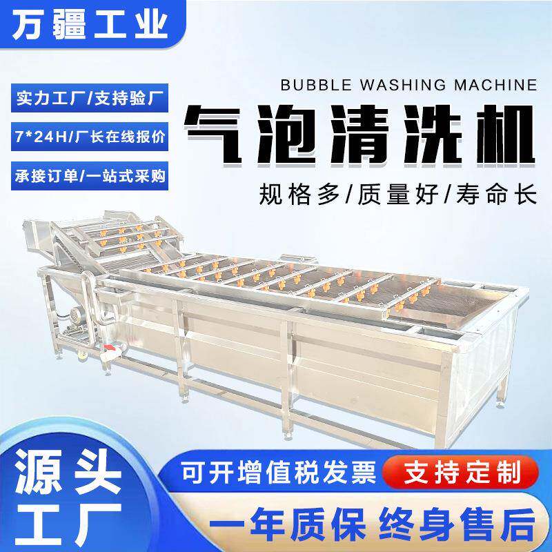 全自动土豆丝气泡清洗机烘干豆角加工设备清水竹笋浸泡清洗设备