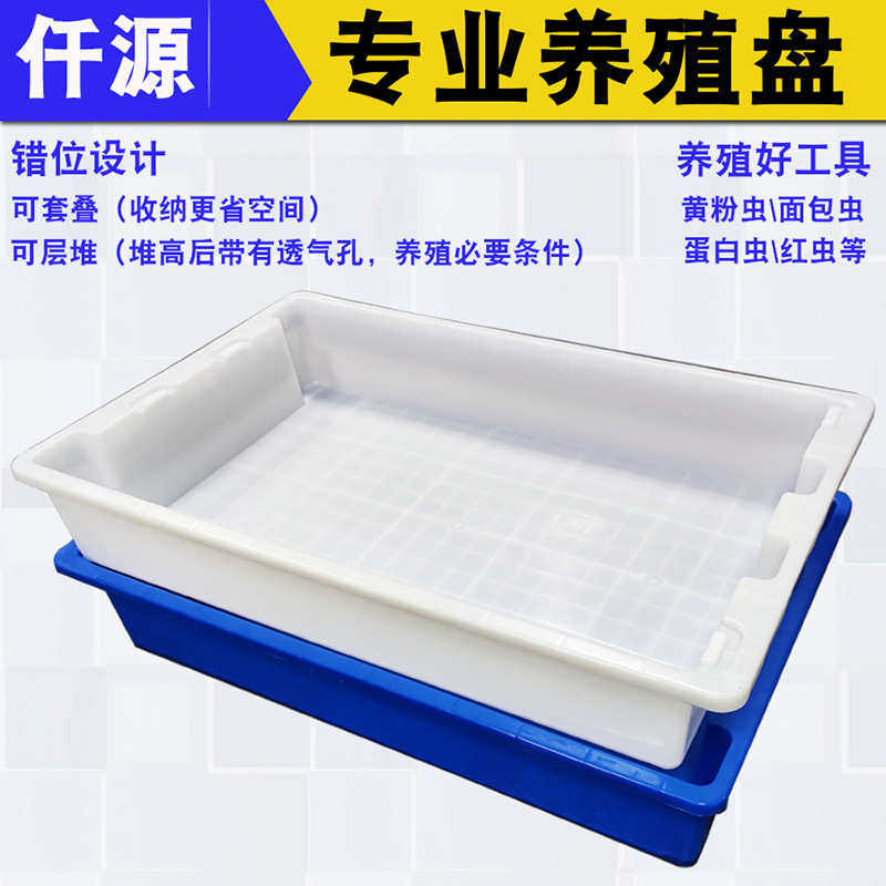 养殖胶盆虫卵孵化盘长方形饲养托盘蛋白虫大麦黄粉虫养殖塑料盒