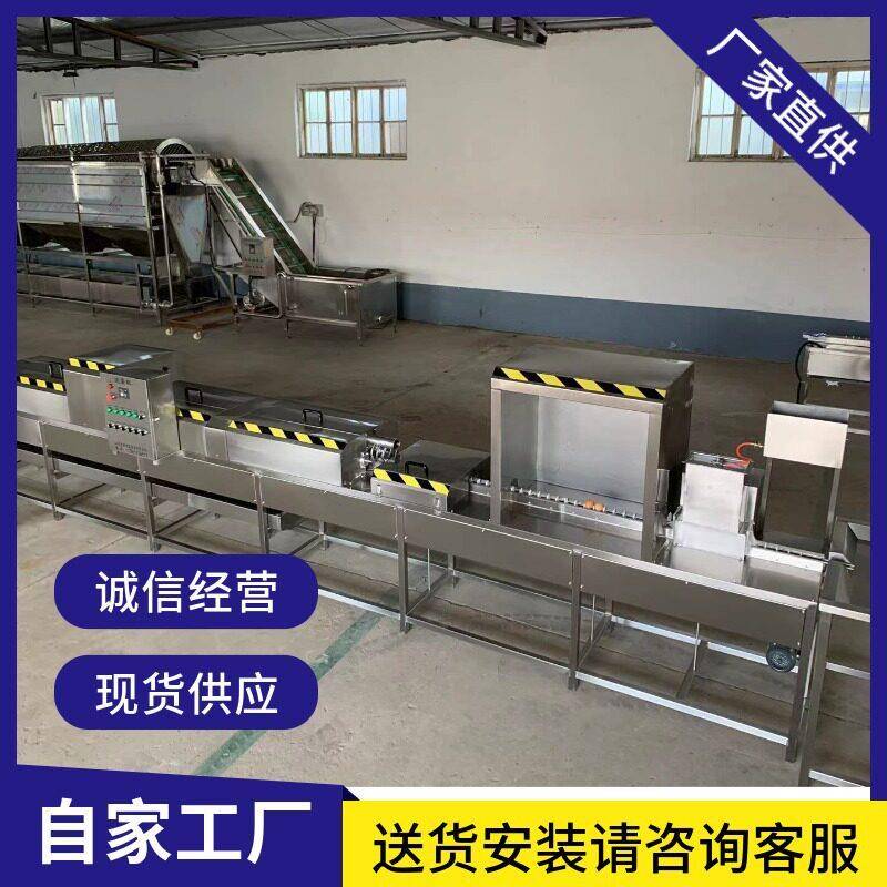 全自动蛋品清洁机鸭蛋洗蛋机鸡蛋松花蛋清洗机蛋品清洗设备可定制