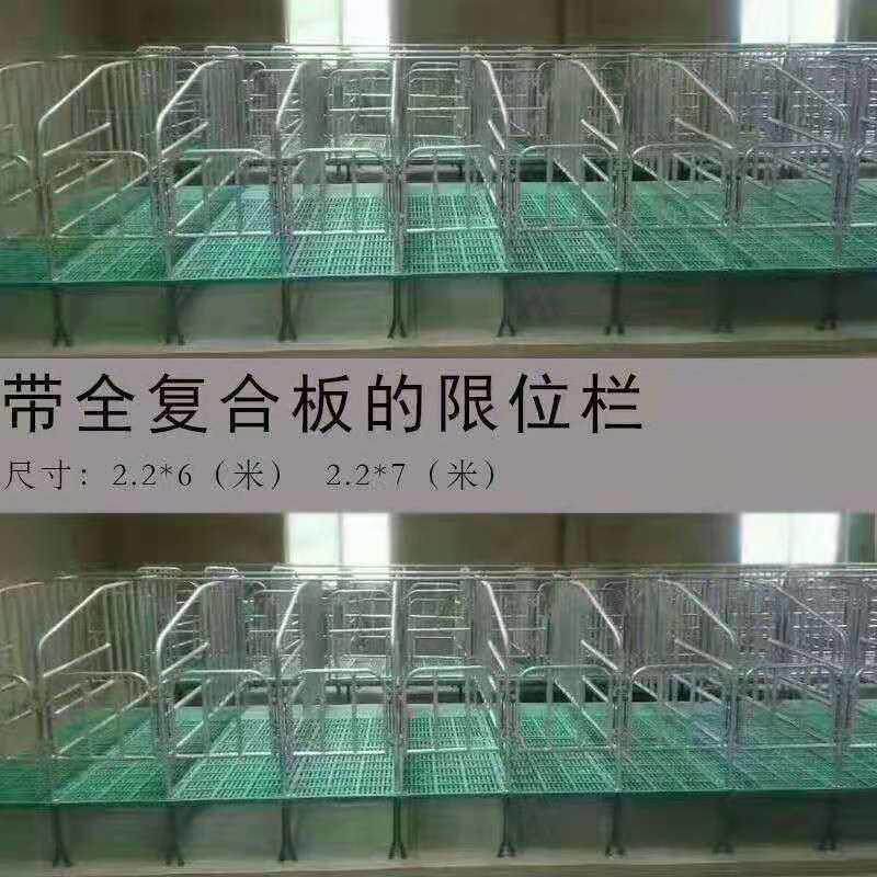 厂家母猪定位栏 落地式限位栏 带复合漏粪板母猪定位栏