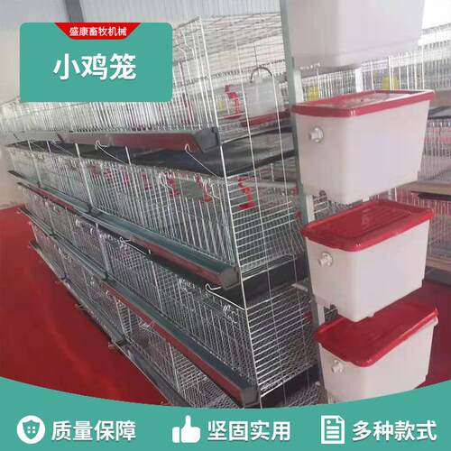 小鸡笼蛋鸡笼层叠式养鸡设备立式全自动四层清粪鸽子笼家禽