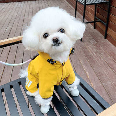 狗狗雨衣狗狗衣服泰迪比熊带牵引扣外出四季通用四脚宠物小狗薄款
