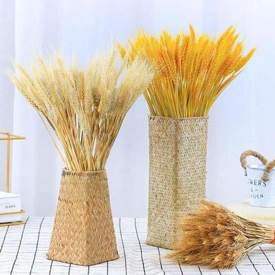 50PCs Natural Dried Wheat Ear Flower Real Flowers Bouquet Or