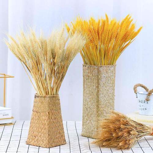 50PCs Natural Dried Wheat Ear Flower Real Flowers Bouquet Or