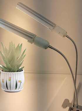 LED植物生长灯40w横插玉米灯双头夹子款全光谱220vE27
