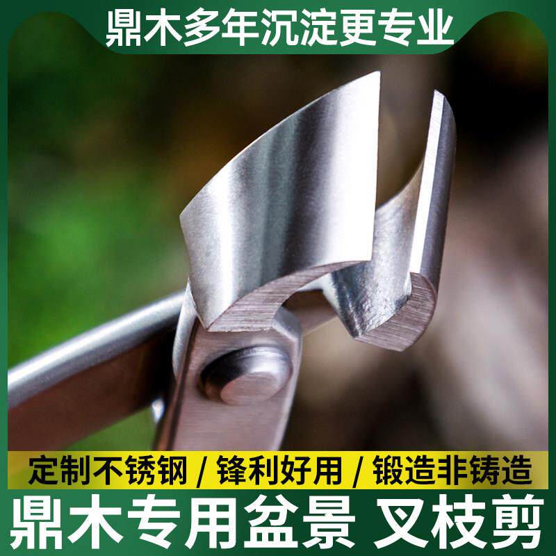 鼎木 不锈钢 盆景叉枝剪斜球口钳盆栽树瘤修剪钳园艺制作造型工具