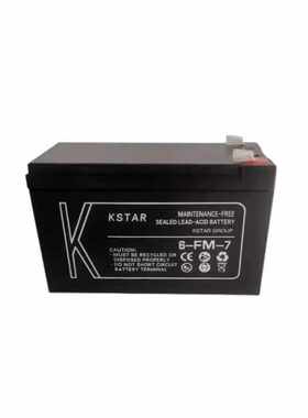 科士达UPS铅酸蓄电池6FM12V100AH/24AH/38AH/65AH/150AH200AH消防