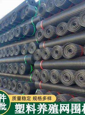 塑隔离养殖网HVU鱼塘河料道防黑色护圈玉米围道路施工双向土工格