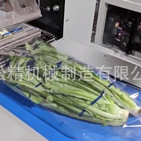 厂家供应面包手抓饼包装机械/包子包装机SJ-600B冷冻食品多功能包