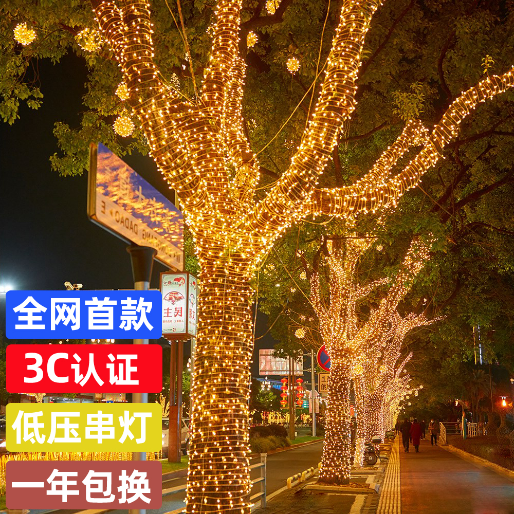 24V低压彩灯满天星led灯串户外庭院装饰亮化树灯景观灯绕树缠树灯