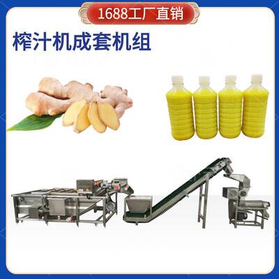 蔬菜榨汁机 生姜萝卜粉碎榨汁设备 大型蔬菜汁榨取机