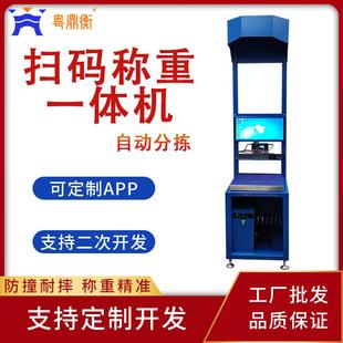 家多功能自动拍照称重扫码 厂 一体机自动分拣快递物流行业