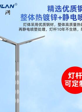LE路灯D道路单FLV双臂电6米8米10米照明灯30W灯60W100W路杆超市亮