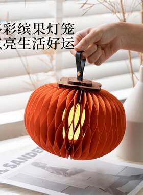 缤缤果灯笼果灯笼小灯卧室2睡眠灯手提花灯儿童20氛4新款节夜庆围