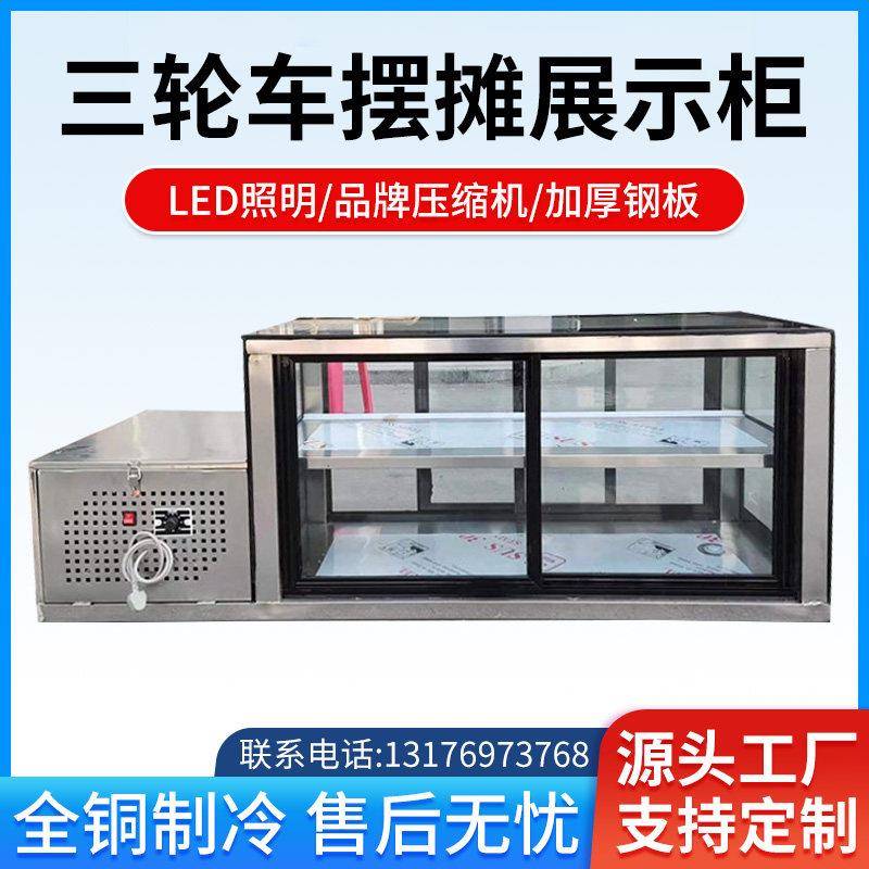 商用冷藏冷冻柜小型炸串烧烤熟食卤菜保鲜展示柜三轮车摆摊冰柜