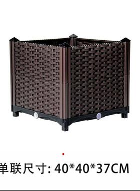 自由组合绿化种植家庭园艺花瓶