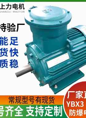 工业技改节能替换YB2YBX3-315L2-1090W高效防爆电机双厂产