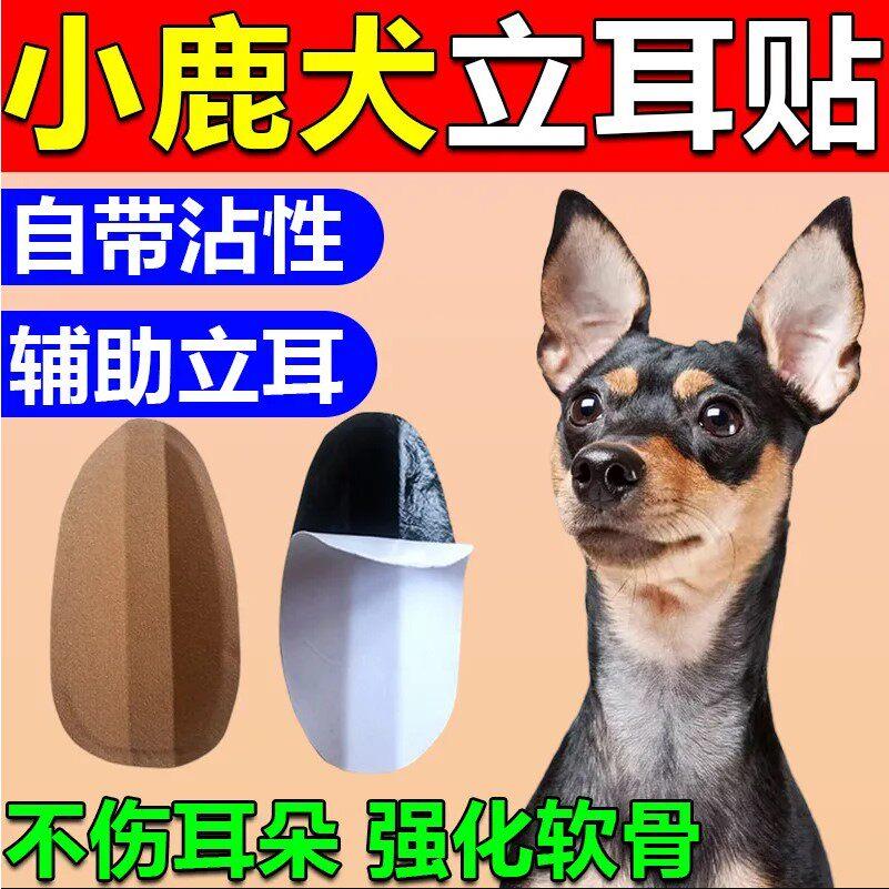 小鹿犬立耳神器专用小型犬狗狗绑耳朵立耳珠幼犬竖耳辅助固定器