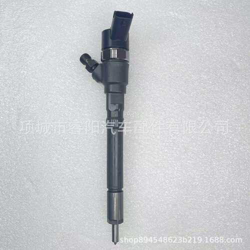 共轨喷油器0445110064 33800-27000 33800-27010 适用起亚发动机