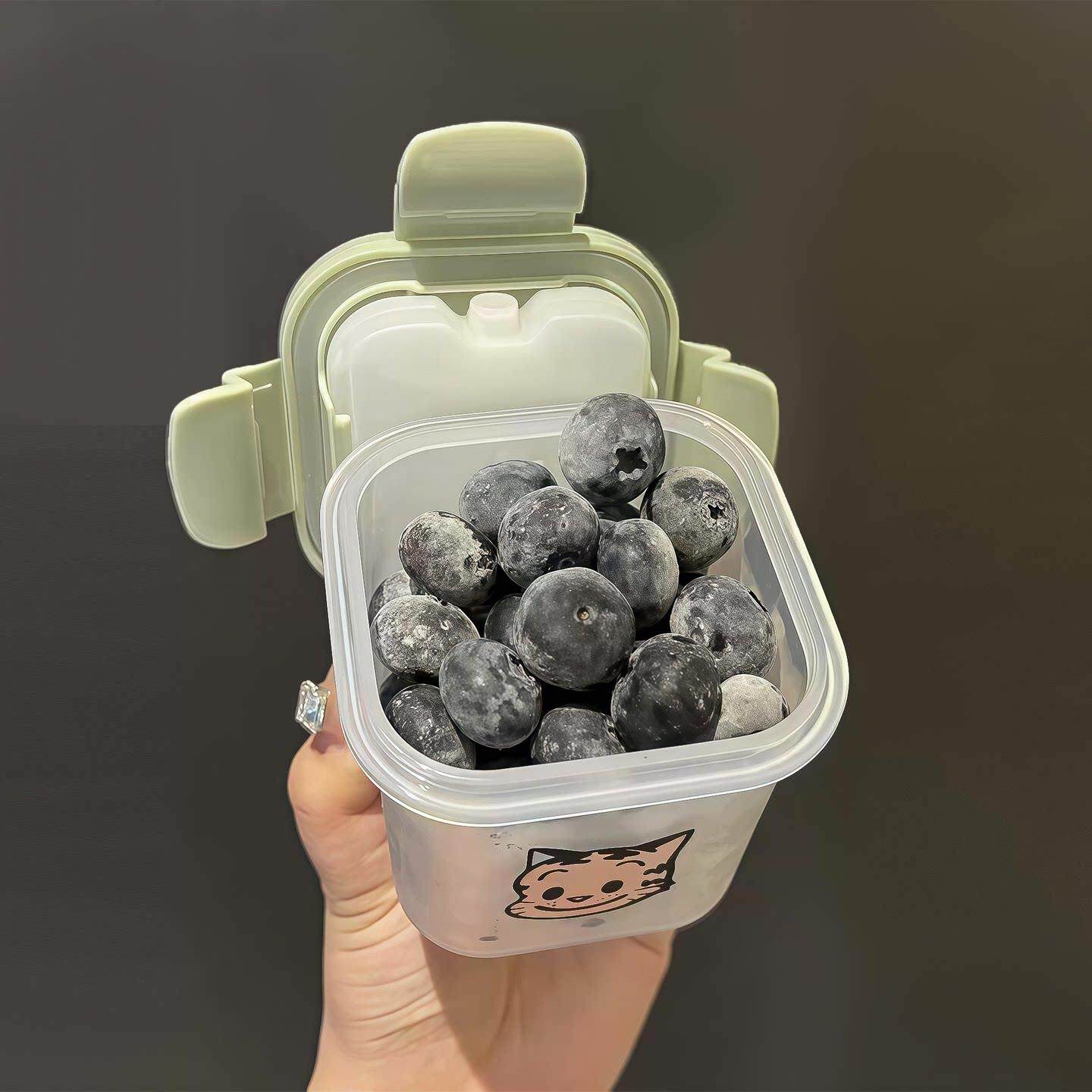 【自带冰盒】水果盒便当盒保鲜盒辅食密封盒食品级上班带饭盒轻便