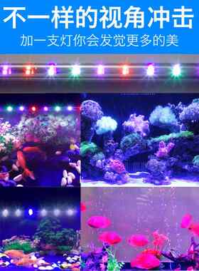 鱼缸led灯七彩灯变色防水超亮照明节能三色灯水陆两用水族箱顶灯