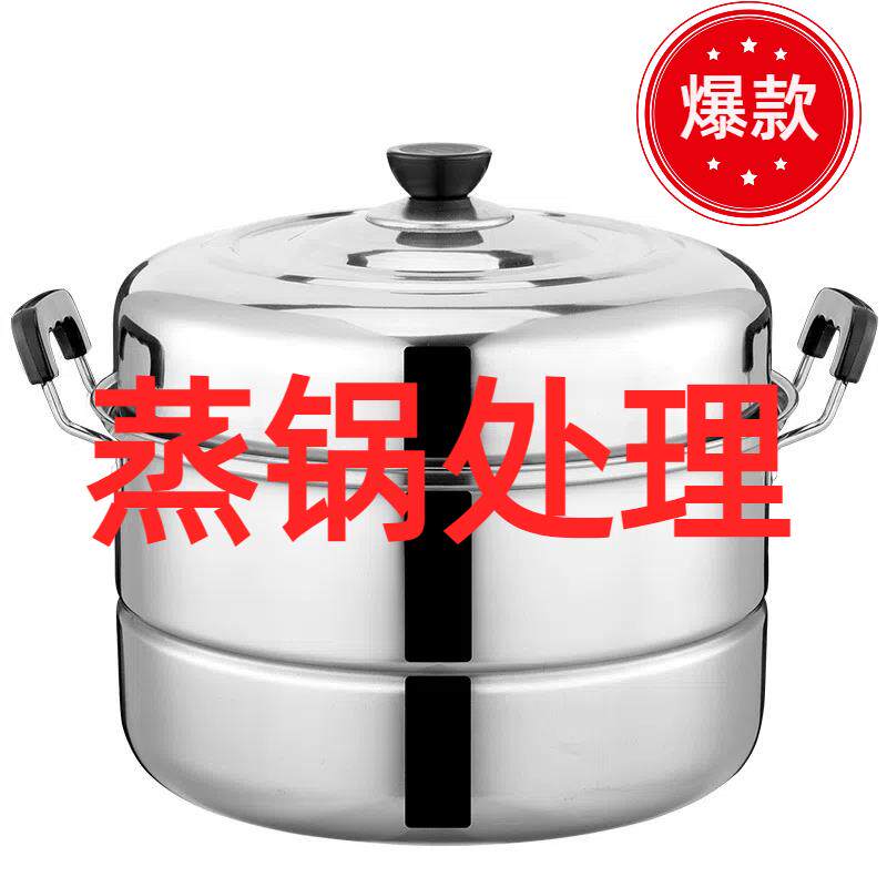 厨房加厚不锈钢双层蒸锅特厚家用蒸馍蒸鱼锅大号汤锅电磁炉煤气灶