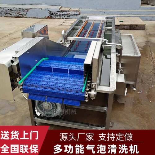 雪里红去泥沙气泡清洗机全自动蕨菜清洗设备李子杏鼓泡式清洗机