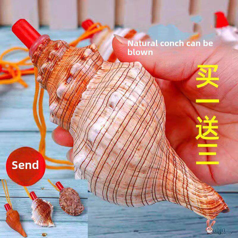 天然海螺号角可吹喇叭口哨超大贝壳哨子儿童玩具哨小螺号能吹响的