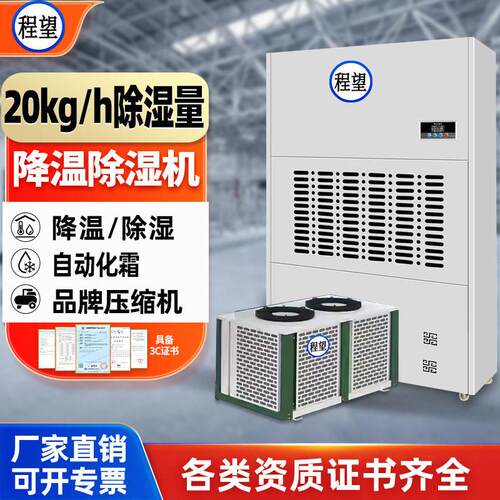 程望降温除湿机医院工业低温降温型风冷型20Kgh除湿量降温除湿机
