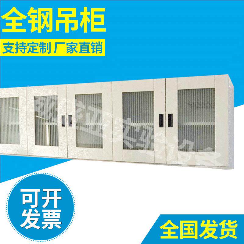 室全钢吊柜全木实壁挂式收储物柜PP耐酸碱验纳柜玻璃可视WSY-18柜