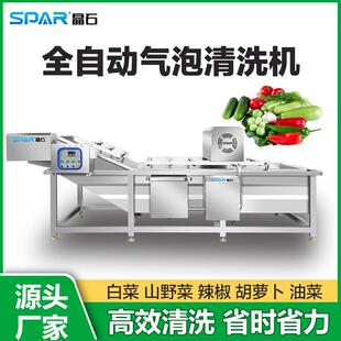 圣女果果蔬气泡清洗机豆橛子提升式气泡清洗机豇豆喷淋式洗菜机